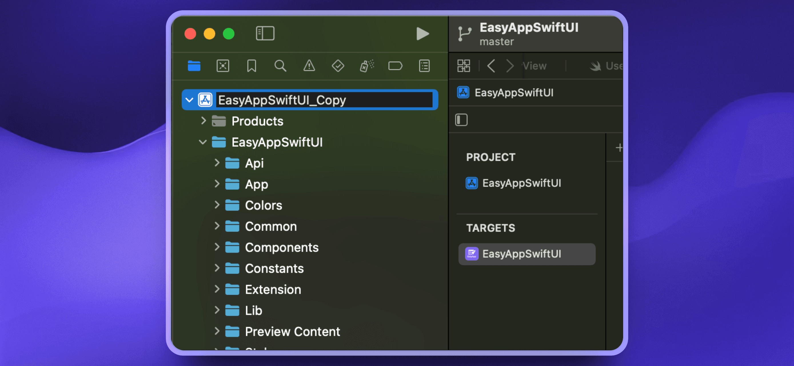 edit_project_name3