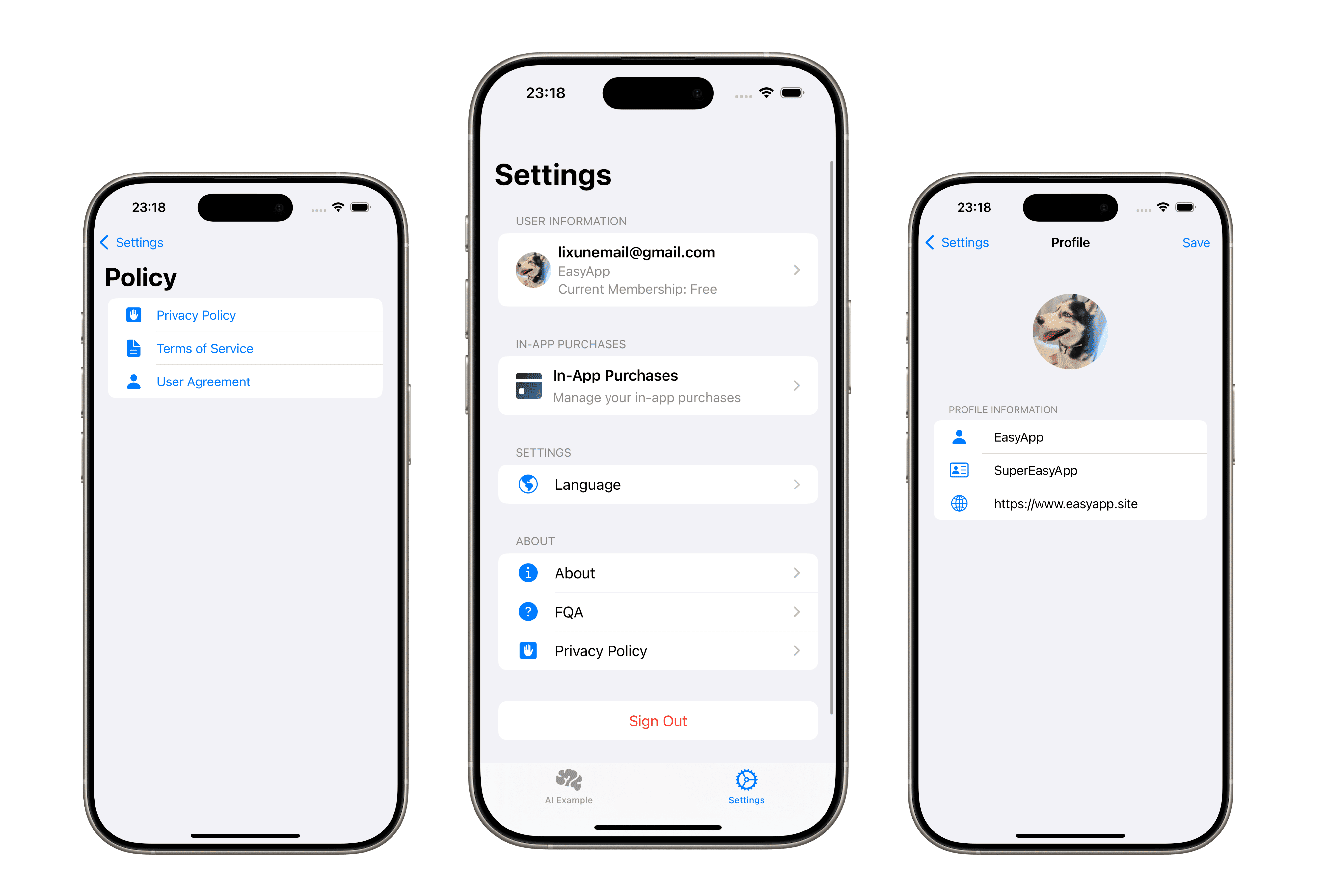 SwiftUI settings screen with user profile and subscription management