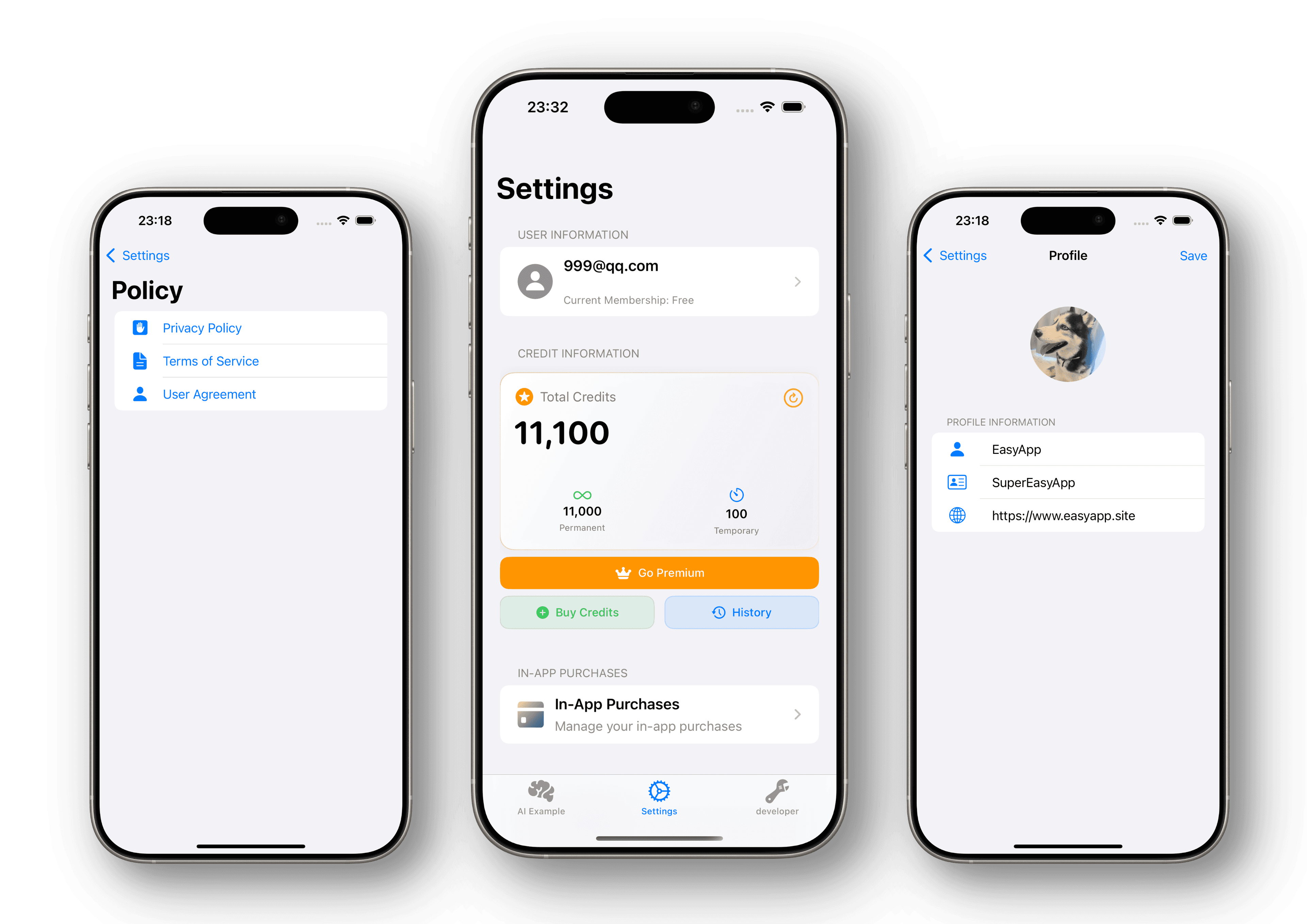 SwiftUI settings screen with user profile and subscription management
