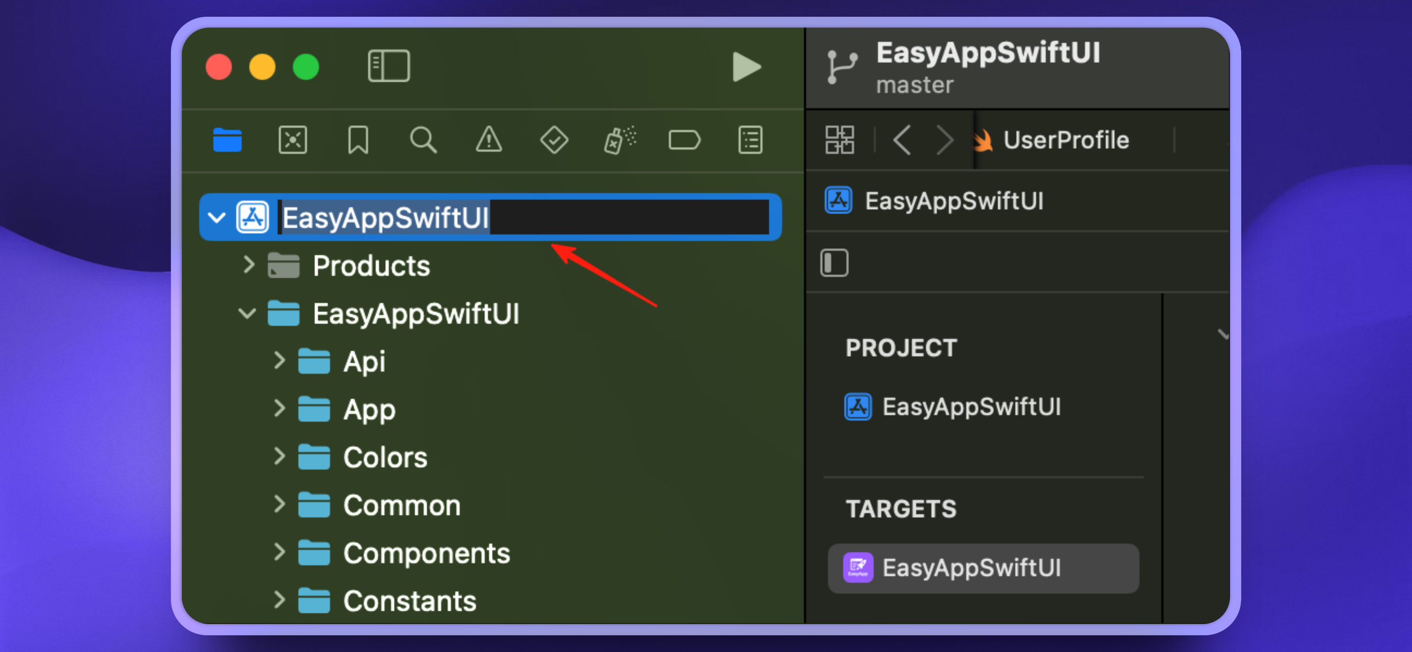 edit\_project\_name2